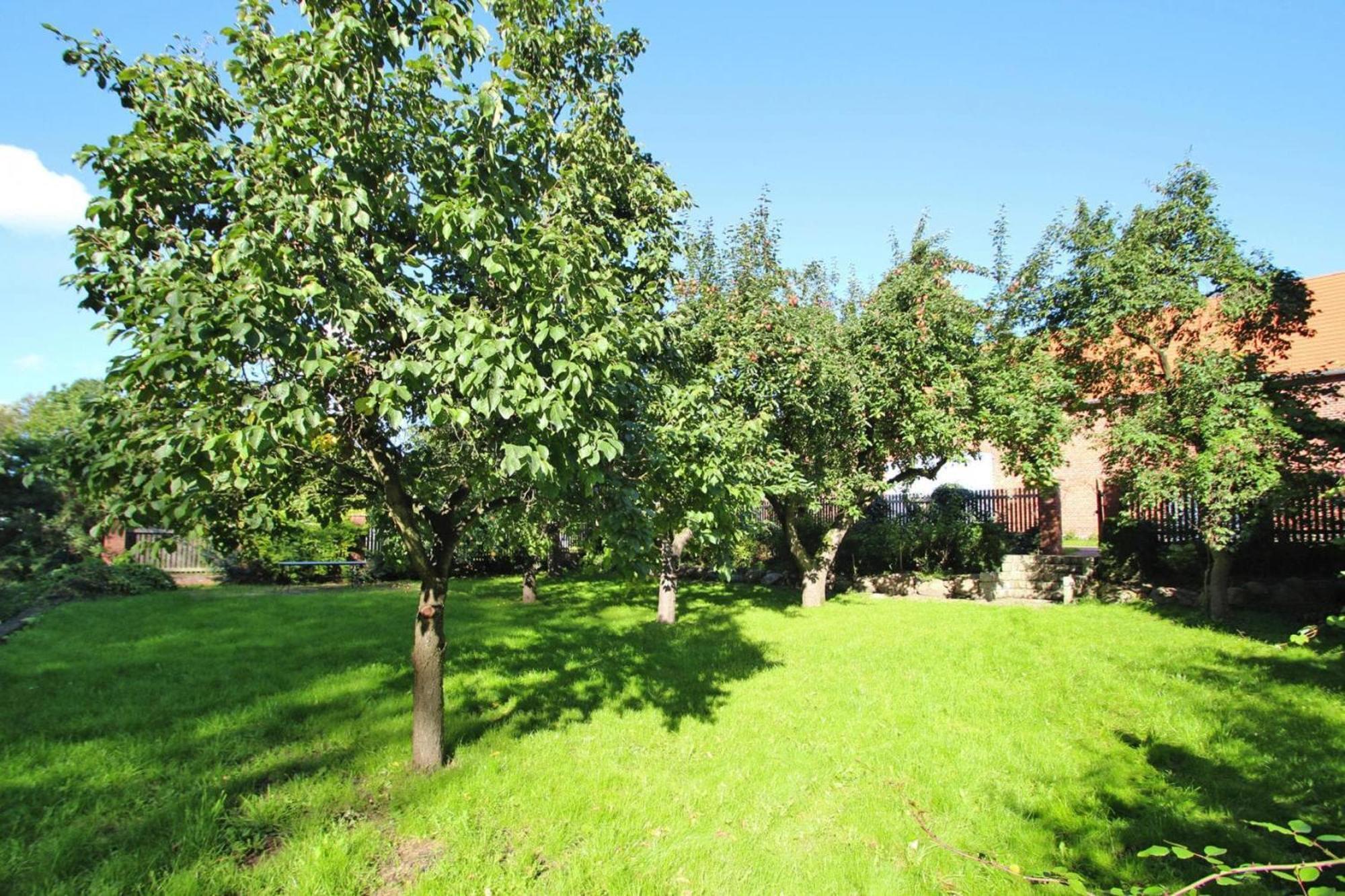 Ferienhaus Rosenhof In Lenzen 外观 照片